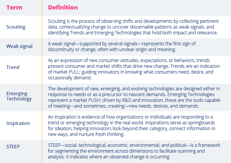 Common-terminology-Environmental-Scanning-(1)